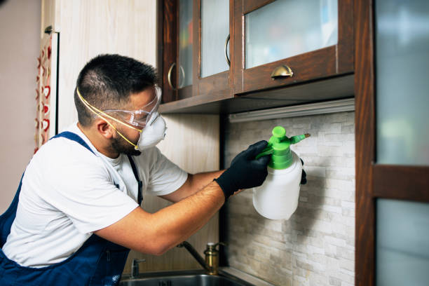 Best Pest Control Cost  in St Charles, IL