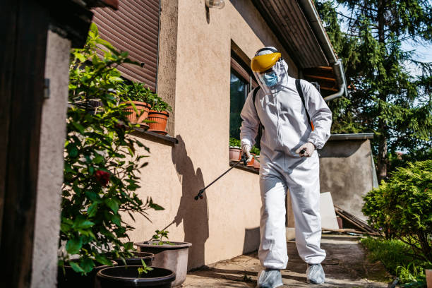 Best Flea Control Services  in St Charles, IL