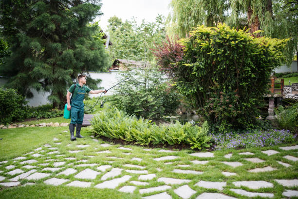 Best Pest Prevention Services  in St Charles, IL