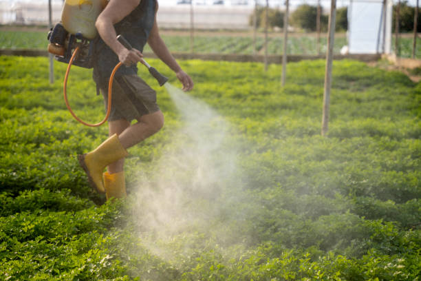 Pest Control for Restaurants in St Charles, IL