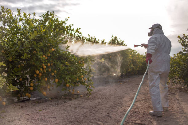 Best Affordable Pest Control Services  in St Charles, IL
