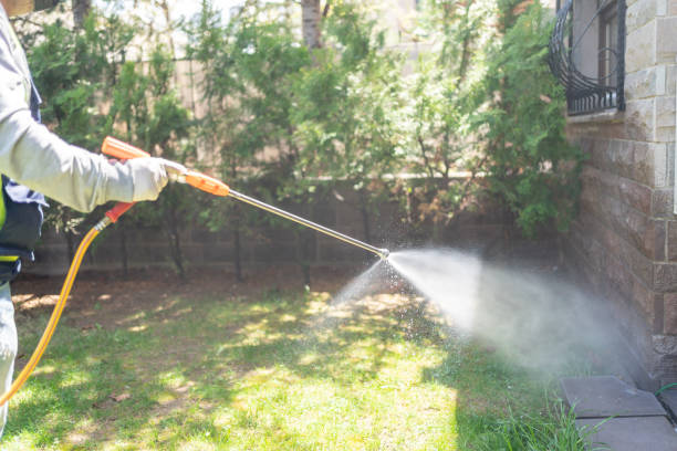 Best Pest Control for Homes  in St Charles, IL