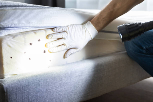 Best Best Pest Control Companies  in St Charles, IL
