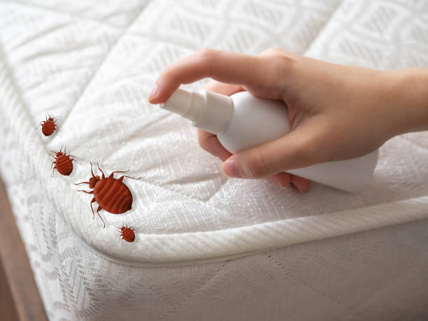 Best Insect Control  in St Charles, IL
